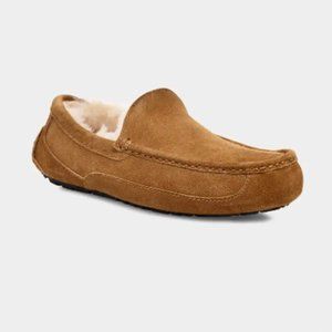 UGG Ascot Slipper - Mens